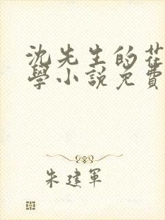 沈先生的花式教学小说免费