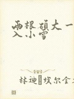 两根硕大一起挤入小雪