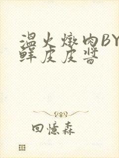 温火炖肉BY海鲜皮皮酱