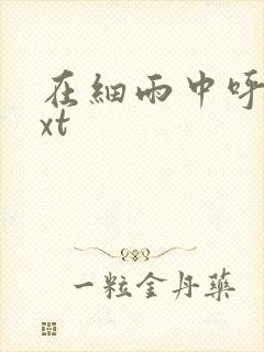 在细雨中呼喊txt