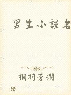 男生小说名字