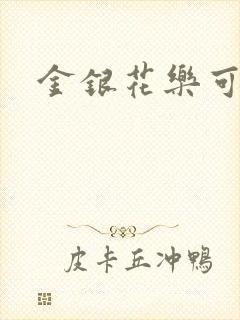 金银花乐可小说