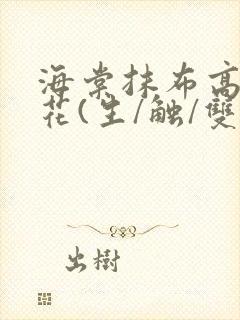 海棠抹布高岭之花(生/触/双)