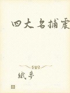 四大名捕震关东