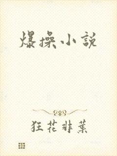 爆操小说