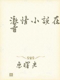 激情小说在线观看