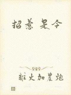 招惹 是今