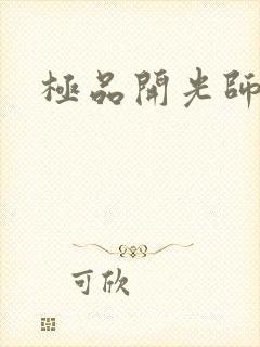 极品开光师
