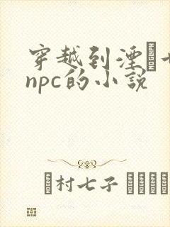 穿越到湮婸世界npc的小说