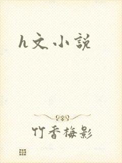h文小说