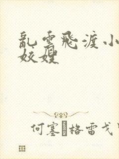 乱云飞渡小说之姣嫂