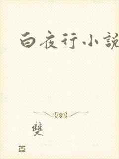 白夜行小说下载