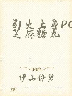 引火上身POP芝麻糖丸