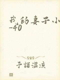 我的妻子小谨1-40
