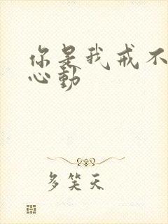 你是我戒不掉的心动