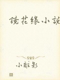 镜花缘小说