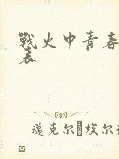 战火中青春演员表