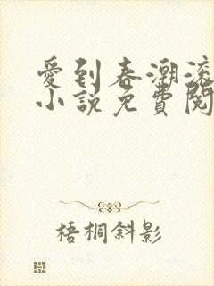 爱到春潮滚滚来小说免费阅读