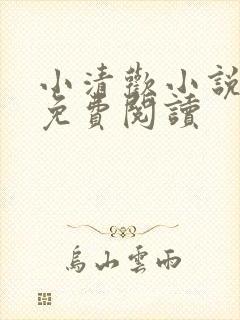 小清欢小说全文免费阅读