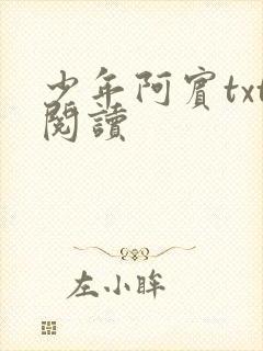 少年阿宾txt阅读