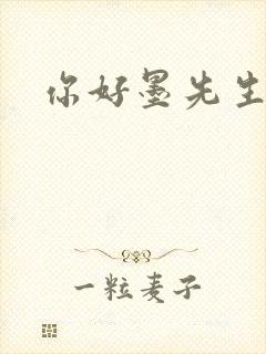 你好墨先生