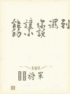 能让你湿到不行的小说