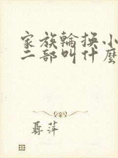 家族轮换小说第二部叫什么名字