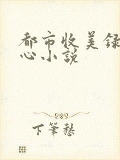 都市收美录宁素心小说