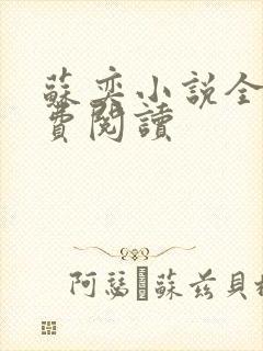 苏奕小说全文免费阅读