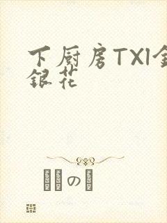 下厨房TXl金银花