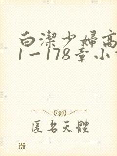 白洁少妇高义第1一178章小说