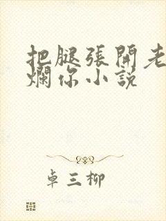 把腿张开老子臊烂你小说