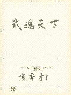 武魂天下