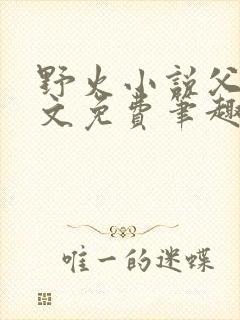 野火小说父女全文免费笔趣阁