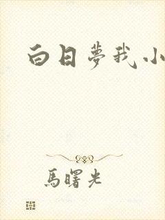 白日梦我小说