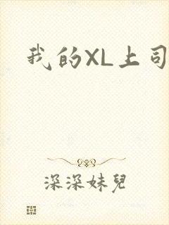 我的XL上司