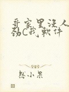 哥家里没人使点劲C我软件