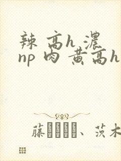 辣 高h 浓 np 肉 黄高h