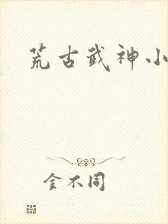 荒古武神小说