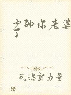 少帅你老婆又跑了