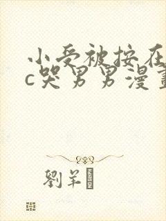 小受被按在墙上c哭男男漫画