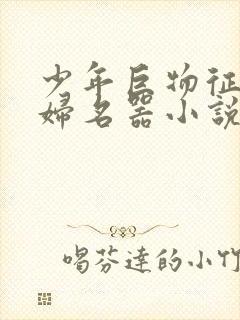 少年巨物征服美妇名器小说