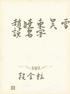 赵晓东吴雪晴小说名字