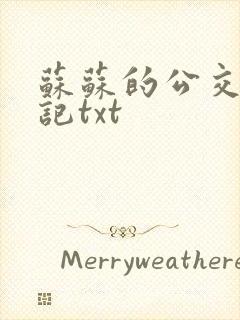 苏苏的公交车日记txt