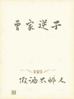 曹家逆子