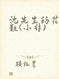 沈先生的花式调数(小非)