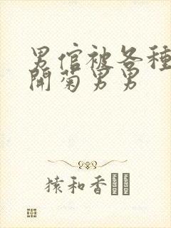 男倌被各种玉势开菊男男