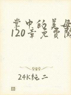 掌中的美母版主120章免费阅读