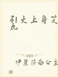 引火上身芝麻糖丸