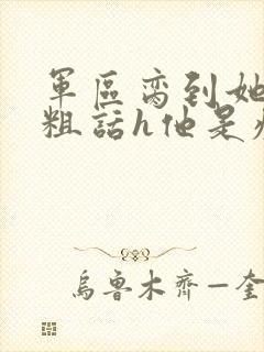 军区脔到她哭h粗话h他是疯批